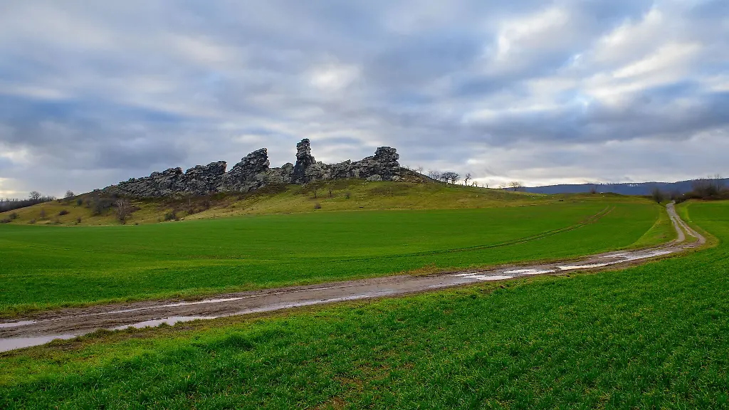 In-Sachsen-Anhalt-wird-das-Wetter-mild-aber-regnerisch