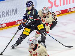 Bayern: Nürnberg Ice Tigers verlängern Vertrag mit Stürmer Eham