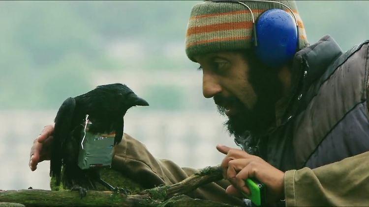 "Auf mein Kommando fliegst du zum Ziel. Und wenn ich hier drauf drücke, kommst du in den Himmel, Bruder Krähe“, sagt Faisal.