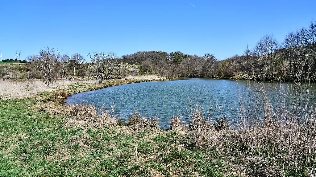 Die-Pflege-von-Biotopen-ist-eine-Aufgabe-um-die-sich-Naturschutzstationen-kuemmern-sollen