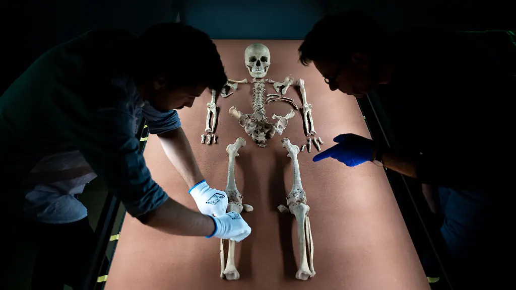 Mitarbeiter-des-Landesmuseums-drapieren-die-sterblichen-Ueberreste-der-vor-rund-9-000-Jahren-gestorbenen-Schamanin-von-Bad-Duerrenberg-in-der-Dauerausstellung-des-Landesmuseums-fuer-Vorgeschichte-in-Halle-Saale