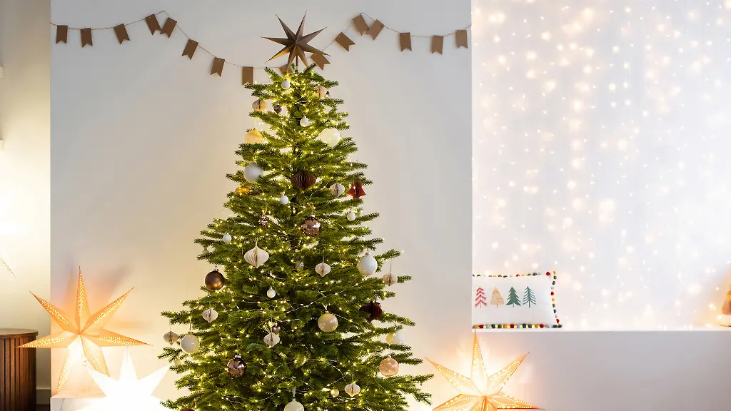 Muss-es-ein-echter-Weihnachtsbaum-sein-Diese-Alternativen-lohnen-sich