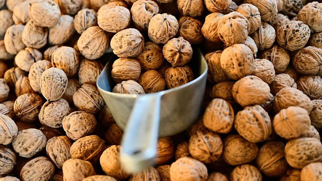 Tausende-Tonnen-Nuesse-werden-jedes-Jahr-nach-Hamburg-importiert