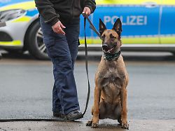 Bayern: 10.000 Euro Waren transportiert – 22-Jähriger festgenommen