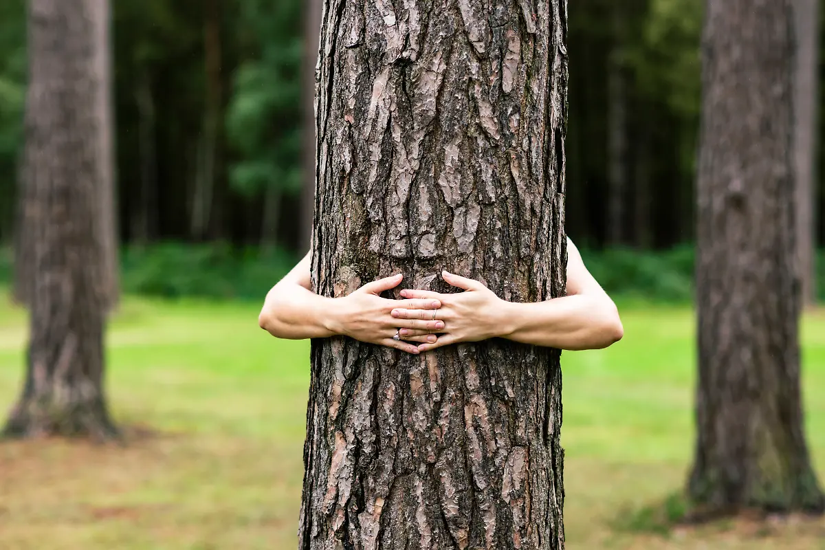Hands-of-woman-hugging-tree-in-forest-model-released-Symbolfoto-WPEF08291