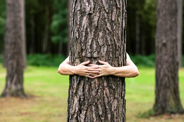 Hands-of-woman-hugging-tree-in-forest-model-released-Symbolfoto-WPEF08291