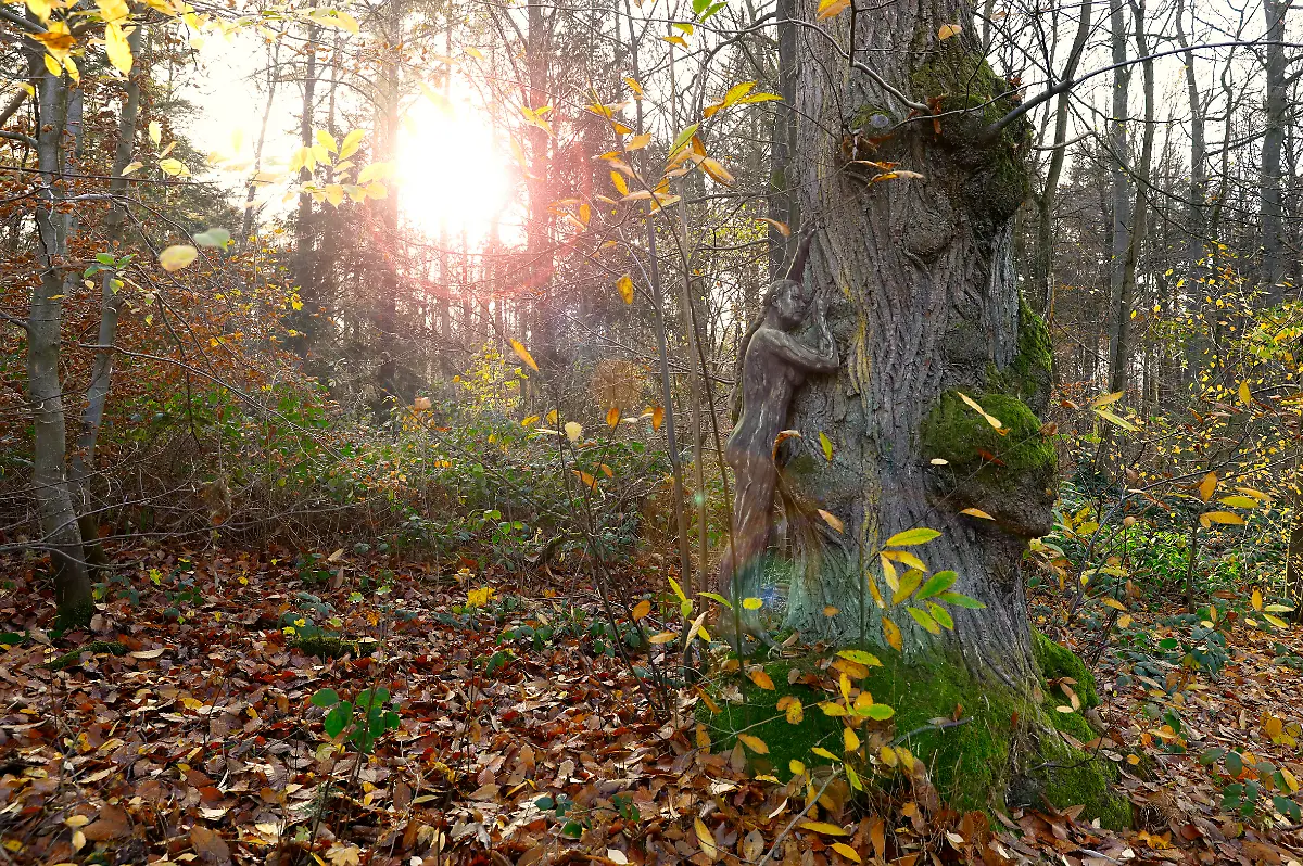 Nature-Art-Herbst-Bodypainting-und-Photoshooting-mit-Model-Tatjana-Heinz-im-Kluetwald-Hameln-26-11