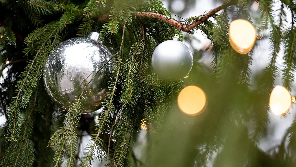 Auch-der-Christbaumschmuck-die-Lichterkette-und-ein-angrenzender-Holzzaun-wurden-beschaedigt