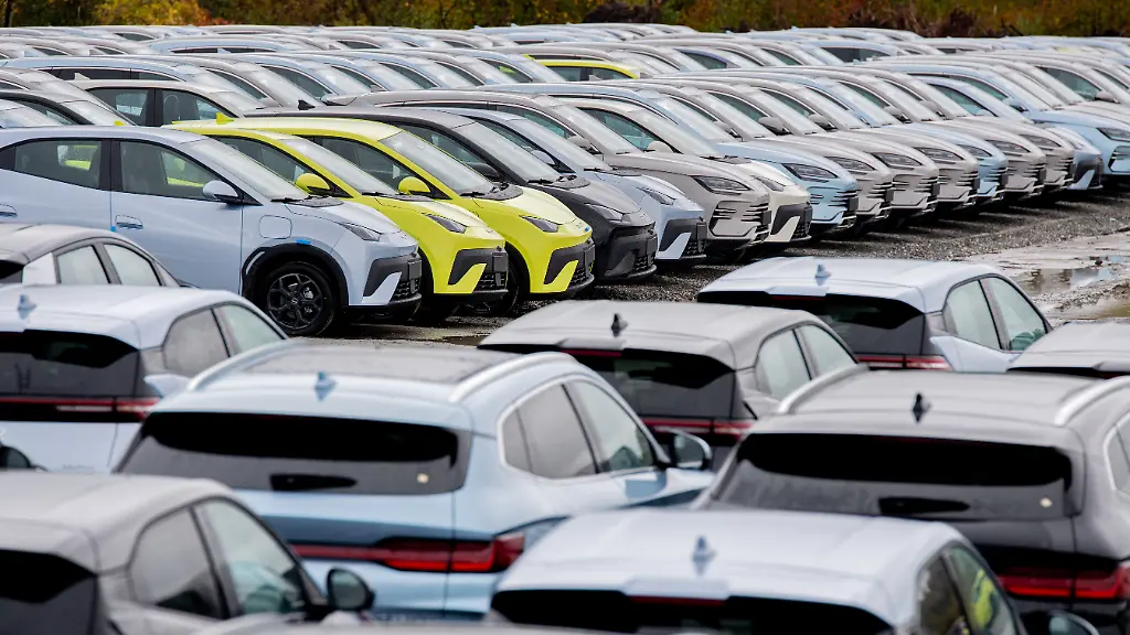 Zahlreiche-neue-Elektrofahrzeuge-von-Byd-stehen-auf-einem-Parkplatz-im-Hafengebiet