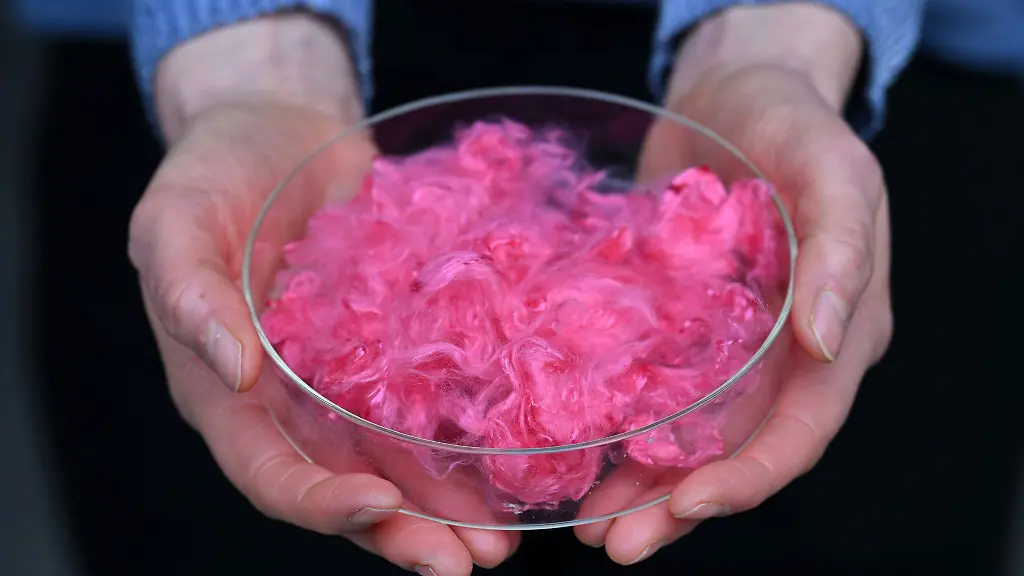 Gefaerbte-Lyohemp-Fasern-werden-praesentiert-waehrend-der-Einweihung-des-Demonstration-and-Innovation-Center-for-Textile-Circular-Economy-DICE-einem-Thueringer-Innovationszentrum-mit-Schwerpunkt-textile-Kreislaufwirtschaft