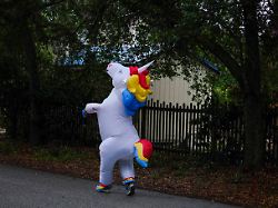 Eine für alle: Spirituelle Buchhaltung oder: Das Einhorn in mir