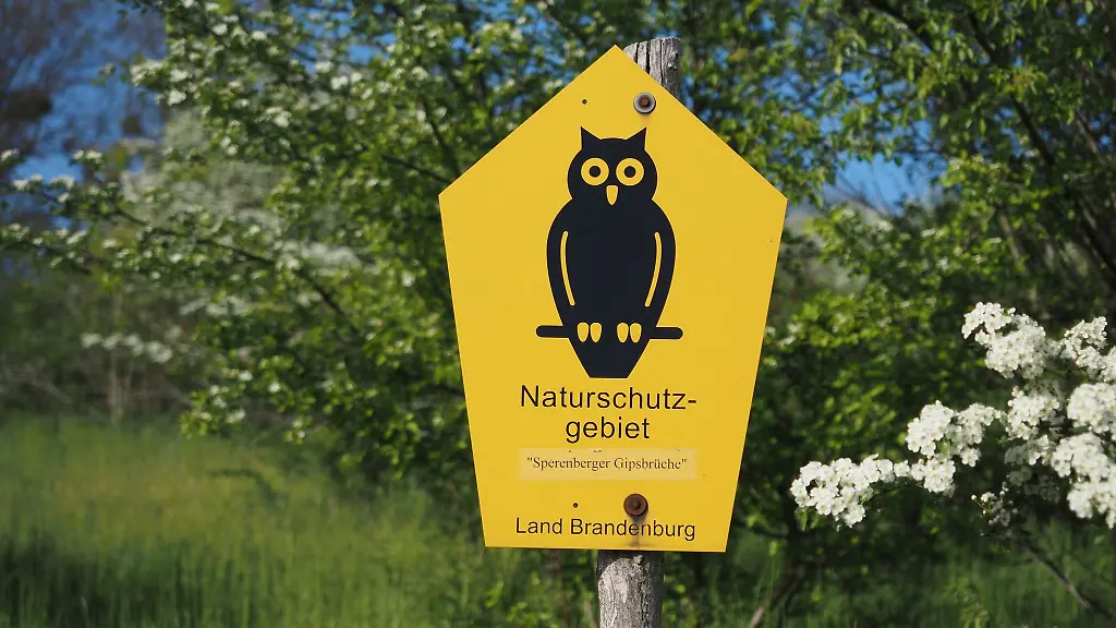 Von-Naturschutzpionieren-aus-Bad-Freienwalde-entwickelt-Die-bekannte-Naturschutz-Eule