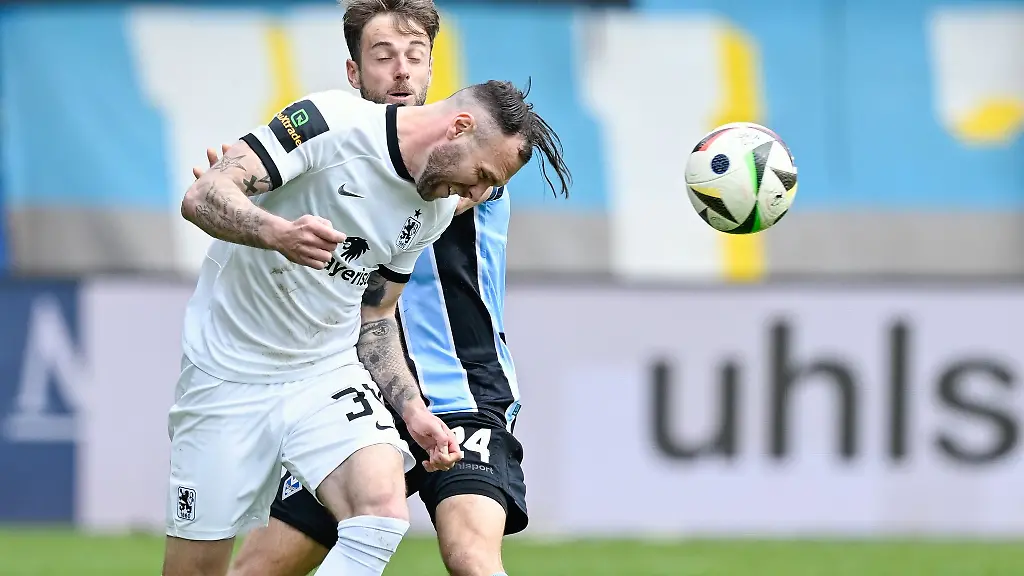 Traf-per-Kopf-Loewen-Profi-Hobsch