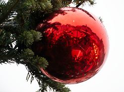 Bericht über Festnahme: Männer sollen Anschlag auf Weihnachtsmarkt in Bayern geplant haben