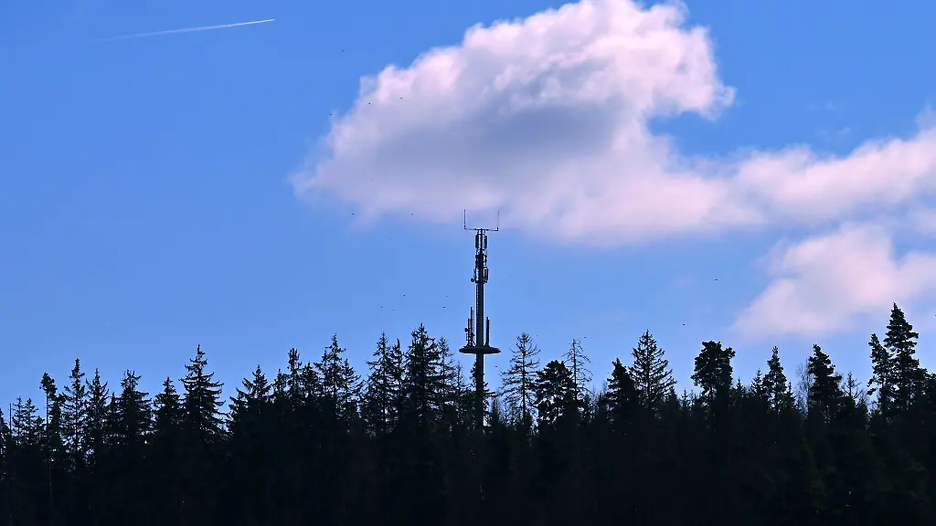 In-schwer-zugaenglichen-Gegenden-wie-im-Pfaelzer-Wald-Hunsrueck-und-Westerwald-soll-die-Mobilfunkverbindung-besser-werden