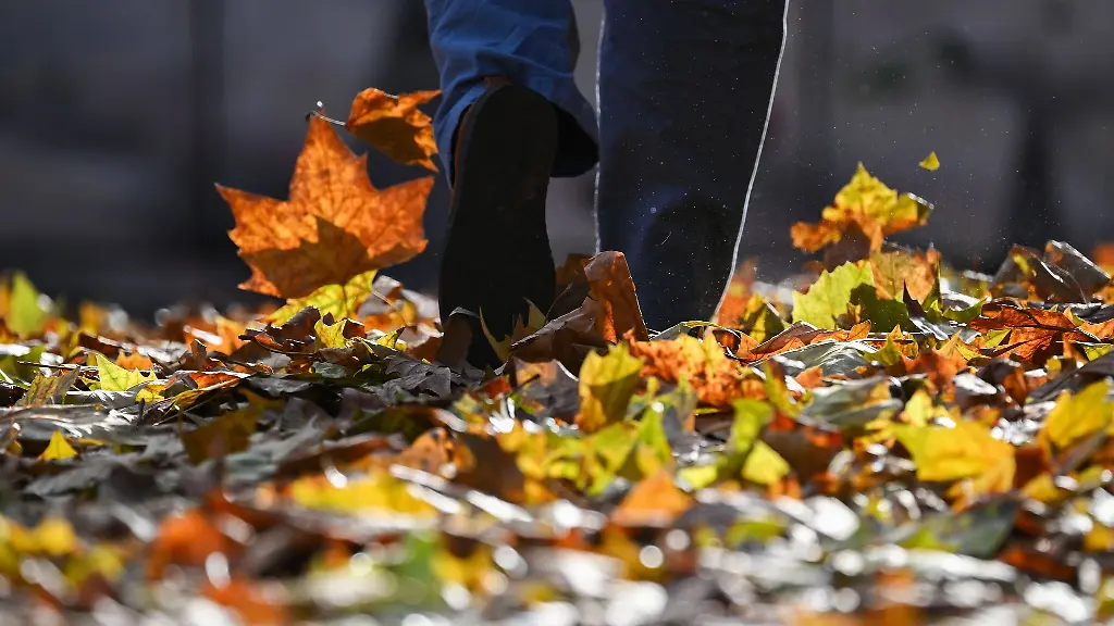 Kommende-Woche-erwartet-der-Deutsche-Wetterdienst-bis-zu-elf-Grad-und-wieder-mehr-Sonne-in-Rheinland-Pfalz-und-im-Saarland