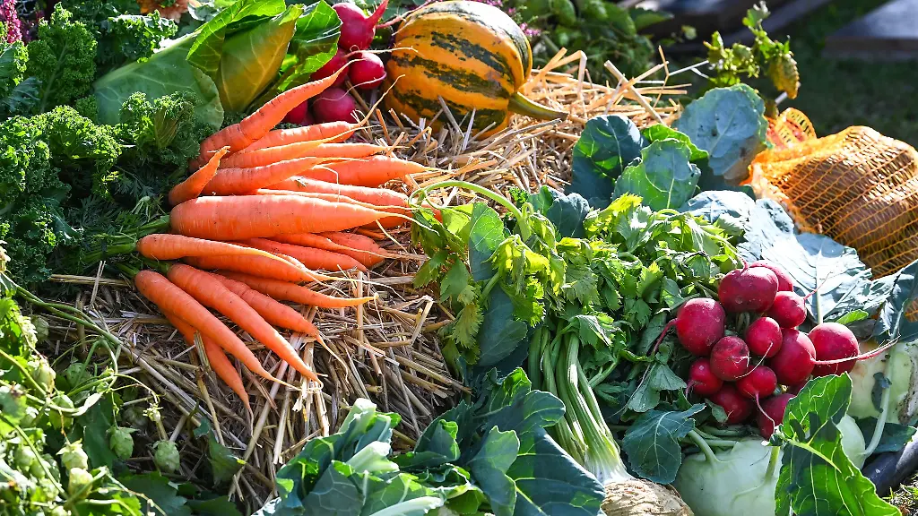 Ein-neues-Foerderprogramm-soll-Thueringer-Landwirten-helfen-ihre-Produkte-etwa-auf-Messen-besser-zu-bewerben