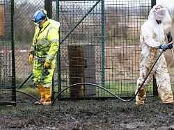 Zentrales Versorgungssystem: Öl-Pipeline in Brandenburg nach Reparatur wieder in Betrieb