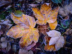 Nordrhein-Westfalen: Ruhiges Wetter mit milden Temperaturen
