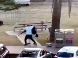 Der Obsthändler Ahmed el Ahmed: Australien feiert "wahren Helden" von Bondi Beach