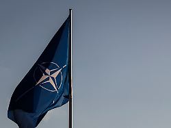Schon lange nicht realistisch?: Experte: Kiews Nato-Verzicht ändert "überhaupt nichts"