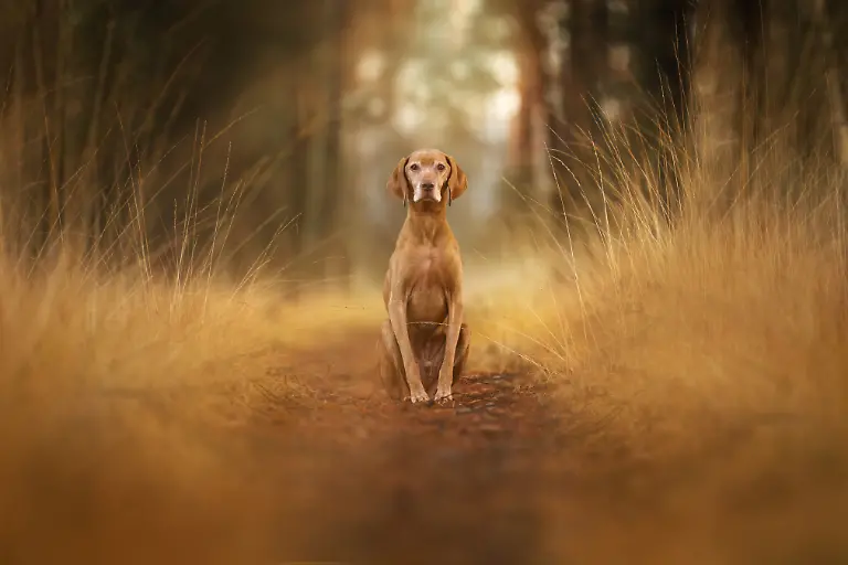 bd203be0-4489-11f0-a336-8df15b8cf49d