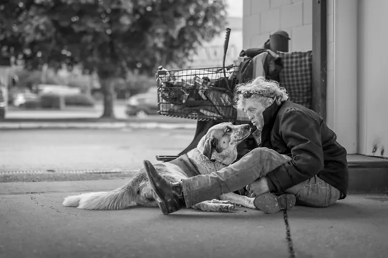 dc40ebc0-7a06-11f0-b561-271c198dac0c