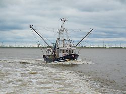 "Sehr schwierige Zeiten": Nordsee-Fischer dürfen deutlich weniger fangen