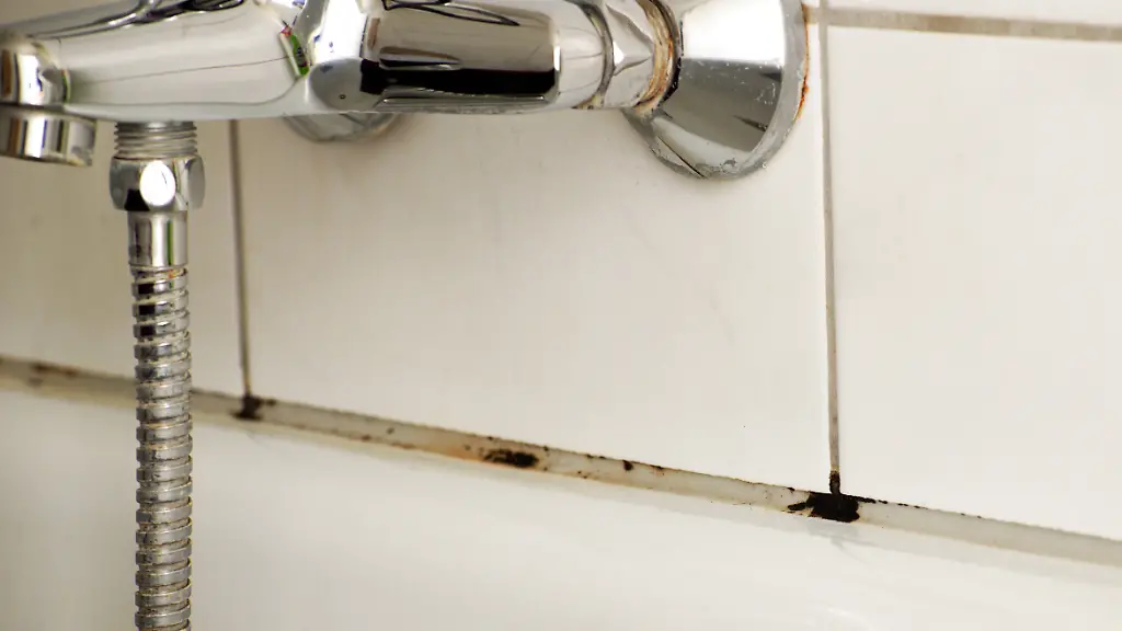 Schimmel-auf-den-Badezimmer-Fugen