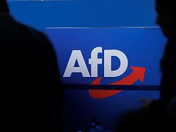 Gezwungen, Fahne abzulecken: AfD will Mitglied nach Gewaltvideo rauswerfen