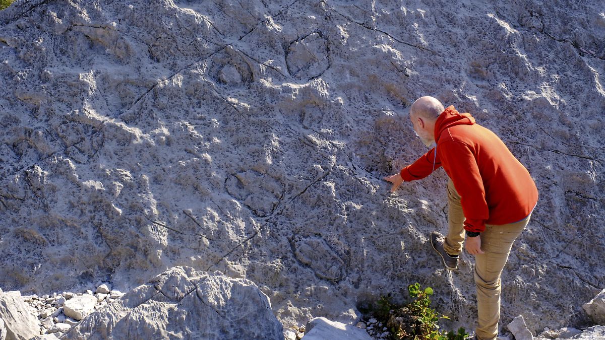 Abdr-cke-Zehen-Krallen-Fotograf-entdeckt-Tausende-Dinosaurier-Spuren-in-den-Alpen