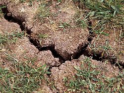 Thüringen: Außergewöhnliche Trockenheit lässt Grundwasser sinken