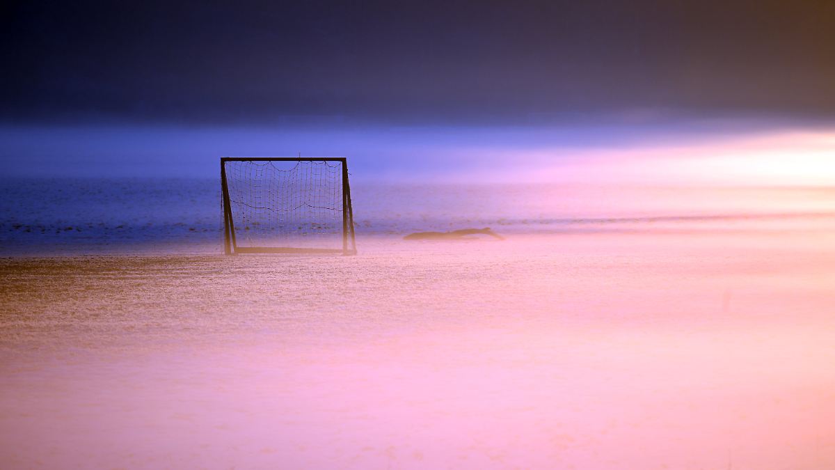 king-kong-und-au-erirdische-und-wieder-liegen-die-wahrsager-falsch