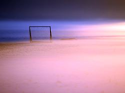 King Kong und Außerirdische?: Und wieder liegen die Wahrsager falsch