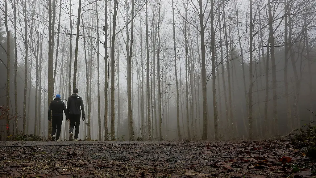 Der-Winter-laesst-noch-auf-sich-warten-die-Temperaturen-bleiben-vorerst-mild