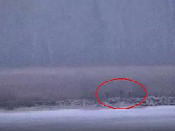 Video zeigt Vorfall: Russische Grenzschützer übertreten Grenze zu Estland