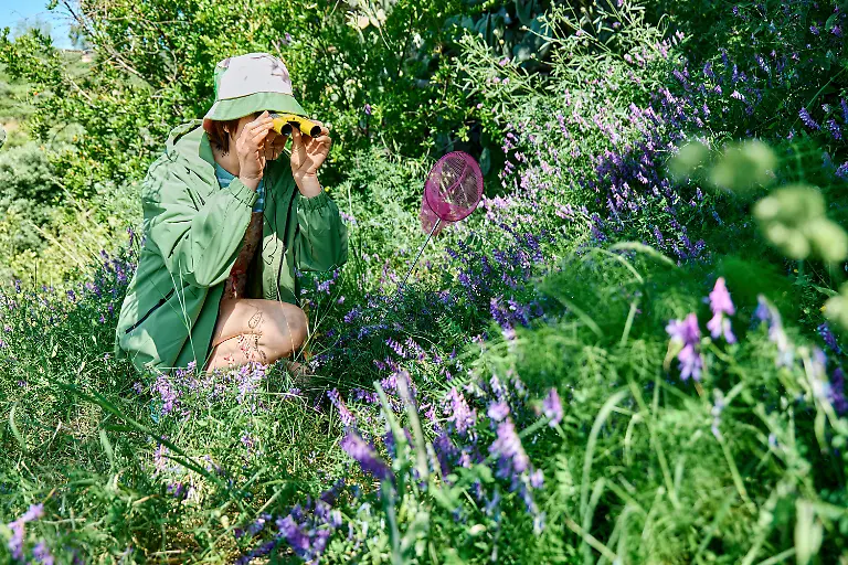 Woman-observing-nature-with-binoculars-and-butterfly-net-in-a-blooming-meadow-model-released-Symbolfoto-CATF00649