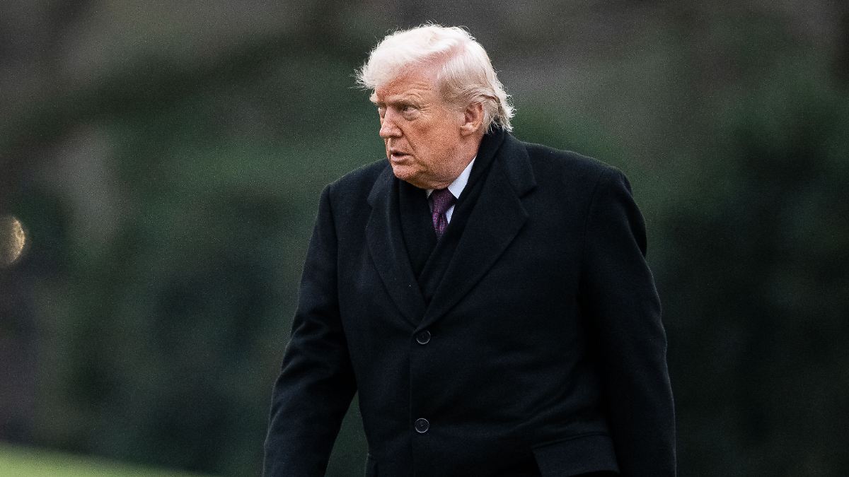 Energiefirma-als-Partner-Trump-Unternehmen-will-Kernfusionskraftwerk-bauen