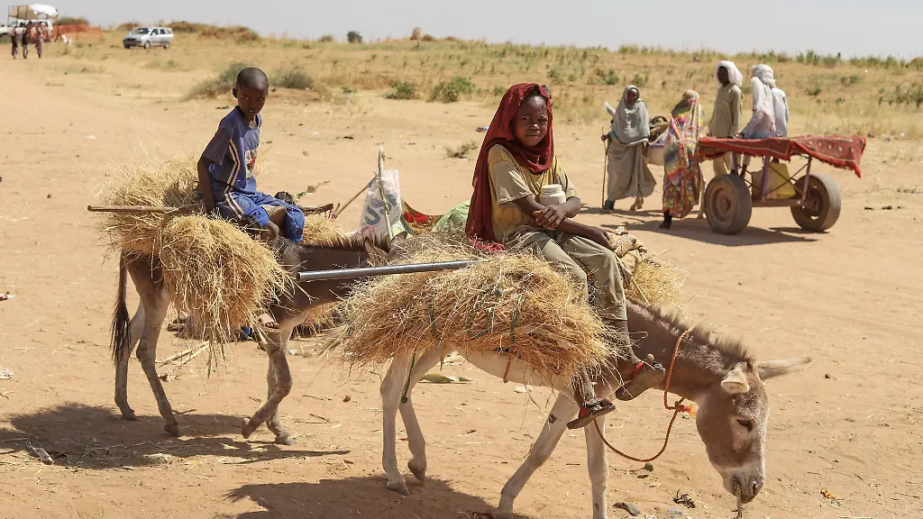 Sudanesen-die-aus-der-Stadt-Al-Faschir-geflohen-sind-nachdem-sudanesische-paramilitaerische-Kraefte-Hunderte-von-Menschen-in-der-westlichen-Region-Darfur-getoetet-haben-tragen-Brennholz-in-ihrem-Lager-in-Tawila