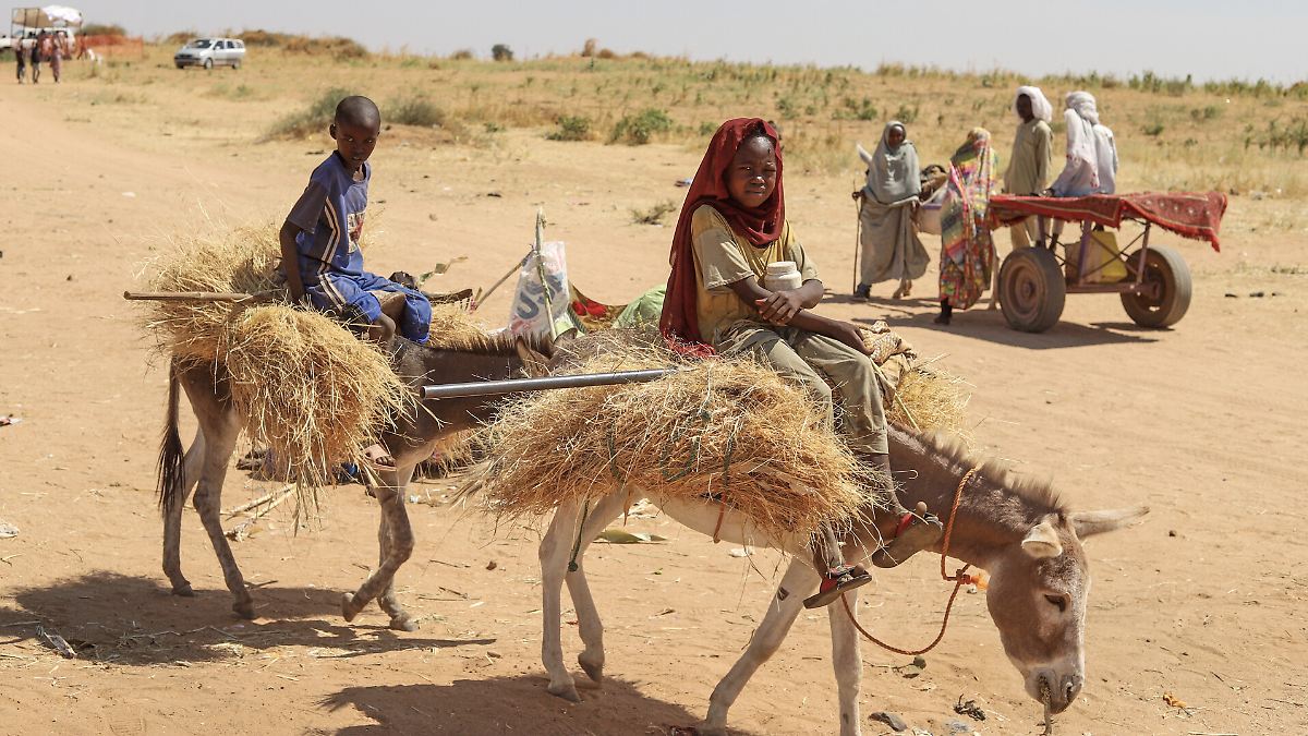 UNO-berichtet-von-Hinrichtungen-Mehr-als-1000-Tote-bei-Angriff-auf-Fl-chtlingslager