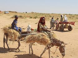 UNO berichtet von Hinrichtungen: Mehr als 1000 Tote bei Angriff auf Flüchtlingslager