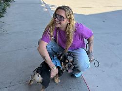 Bruder für Hündin Alvia: Bill Kaulitz ist wieder auf den Hund gekommen