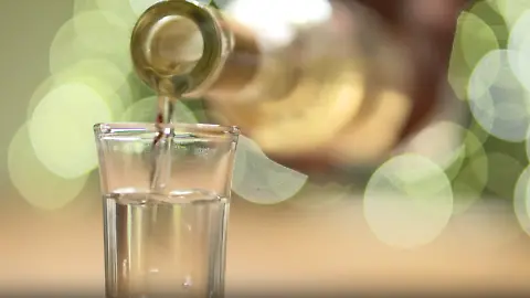 schnaps-verdauung-mythos