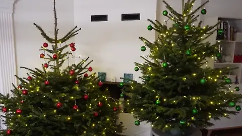 Tannen_Test