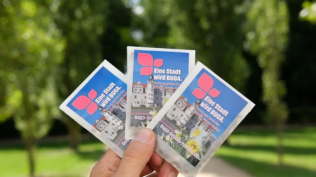 2035-soll-in-Dessau-Rosslau-die-Bundesgartenschau-veranstaltet-werden