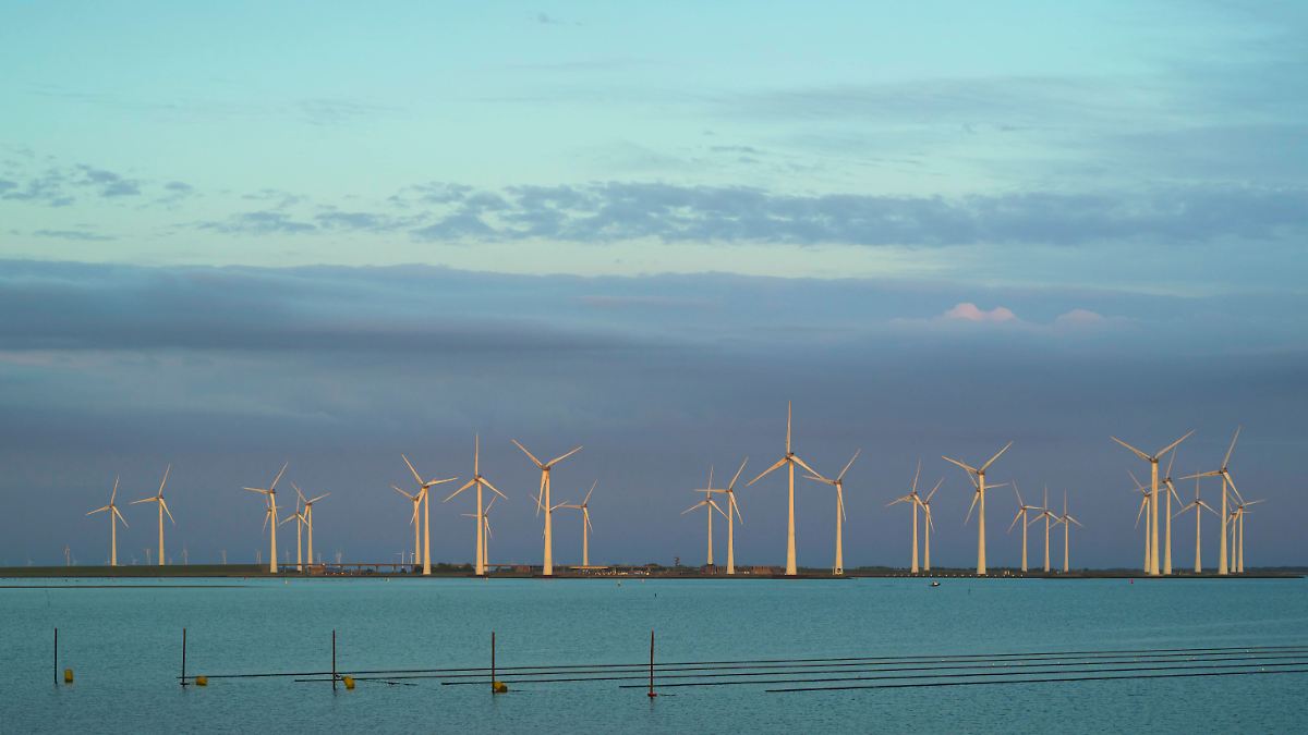 Erneuerbare-schlagen-Kohle-Wissenschaftsmagazin-k-rt-den-Durchbruch-des-Jahres-