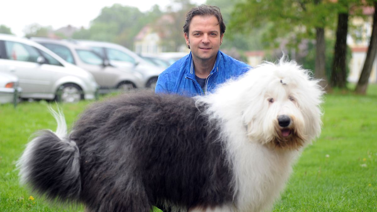 Gegen-B-ller-Panik-an-Silvester-Martin-R-tter-empfiehlt-Eierlik-r-f-r-gestresste-Hunde