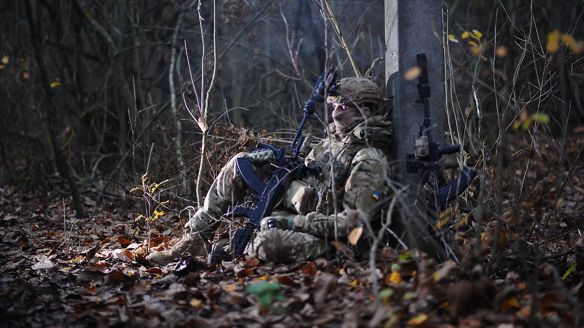 Reisners Blick auf die Front: "Die Ukraine rekrutiert massiv im Ausland"