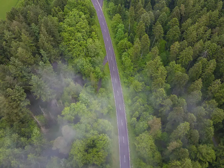Eine-malerische-Strasse-schneidet-durch-einen-saftig-gruenen-nebligen-Wald-Holzbronn-Landkreis-Calw-Schwarzwald-Deutschland