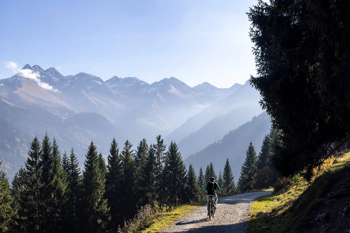 Goldener-Herbst-im-Allgaeu-Die-Sonne-scheint-auf-die-Herbstlandschaft-bei-Oberstdorf-in-den-Allgaeuer-Alpen-mit-dem-Allgaeuer-Dreigestirn-links-im-Bild-Trettachspitze-Maedelegabel-Hochfrottspitze